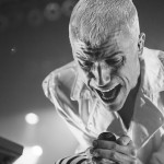 neon trees at terminal 5-8