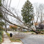 hurricane sandy in nutley-15