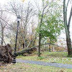 hurricane sandy in nutley-18