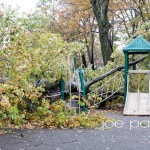 hurricane sandy in nutley-3