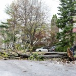 hurricane sandy in nutley-8