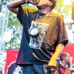 public-enemy-at-firefly-festival-16